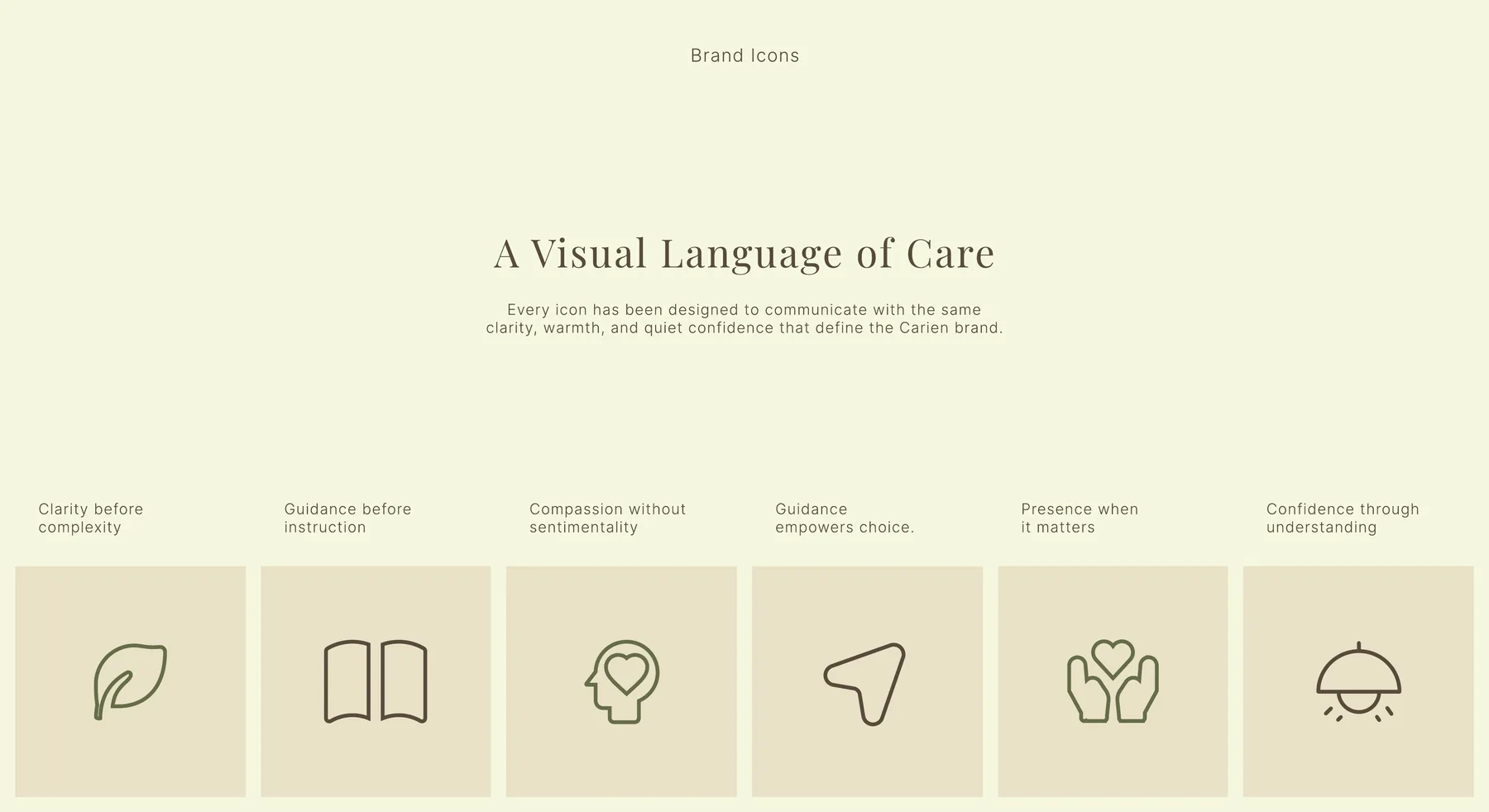 Carien custom icon system for clarity, guidance and compassionate support
